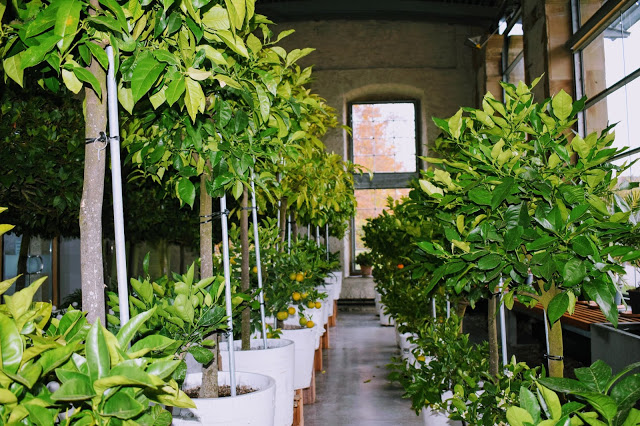 orangerie weikersheim orangerie weikersheim