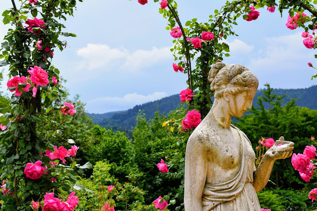 Rosenneuheitengarten Rosenneuheitengarten