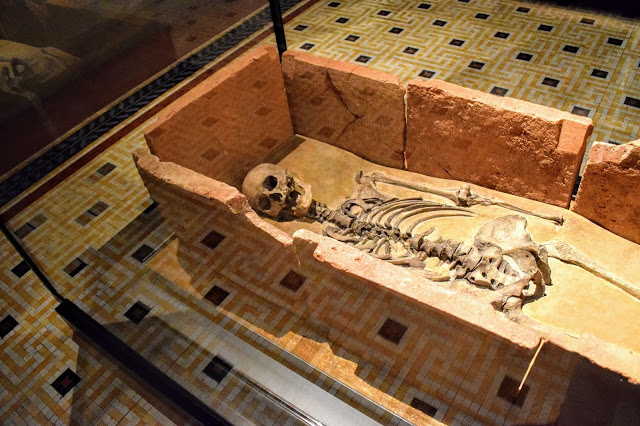 muzeul nou berlin muzeul nou berlin