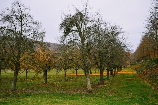 orcahrd weikersheim