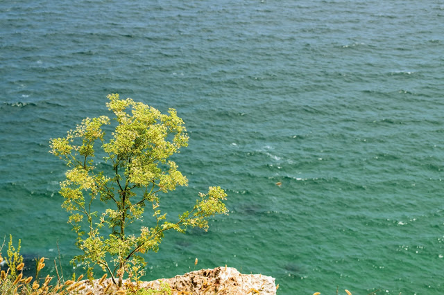 kaliakra