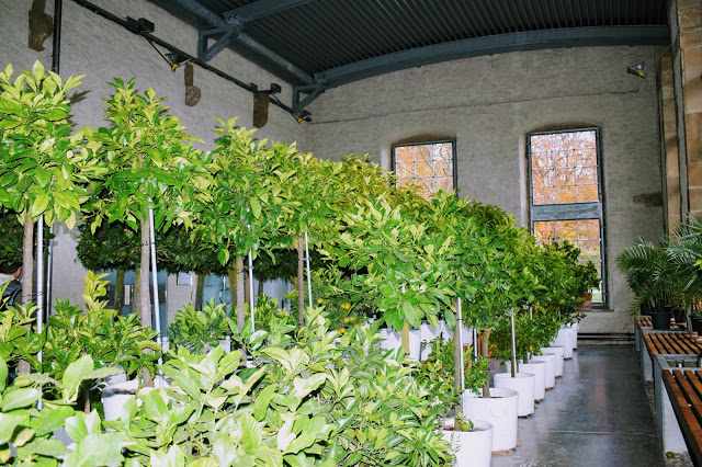 orangerie weikersheim orangerie weikersheim