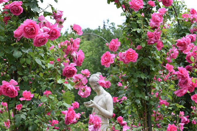 Rosenneuheitengarten