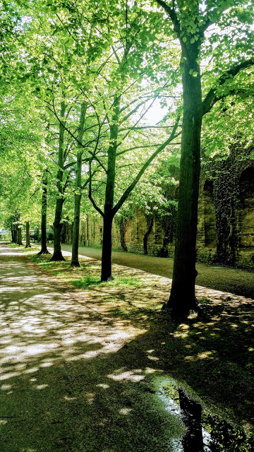 parcul din wurzburg