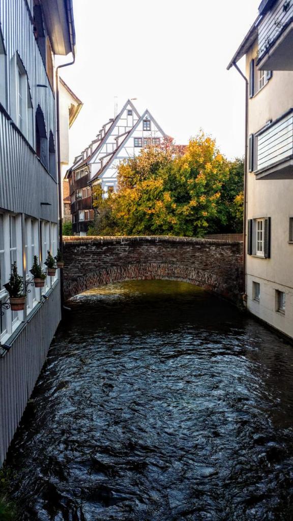 case traditionale cu barne din cartierul vechi ulm din germania