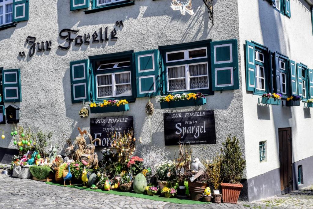 case din piatra si cu barne de lemn in cartierul pescarilor ulm germania